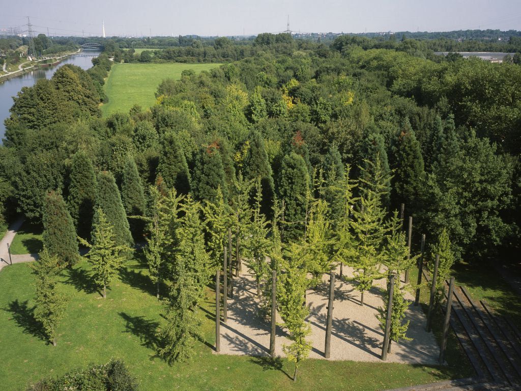 Zur Veranstaltung On Tour – Der Gehölzgarten Ripshorst, das Foto zeigt Bäume und grüne Wiesen aus der Luft.